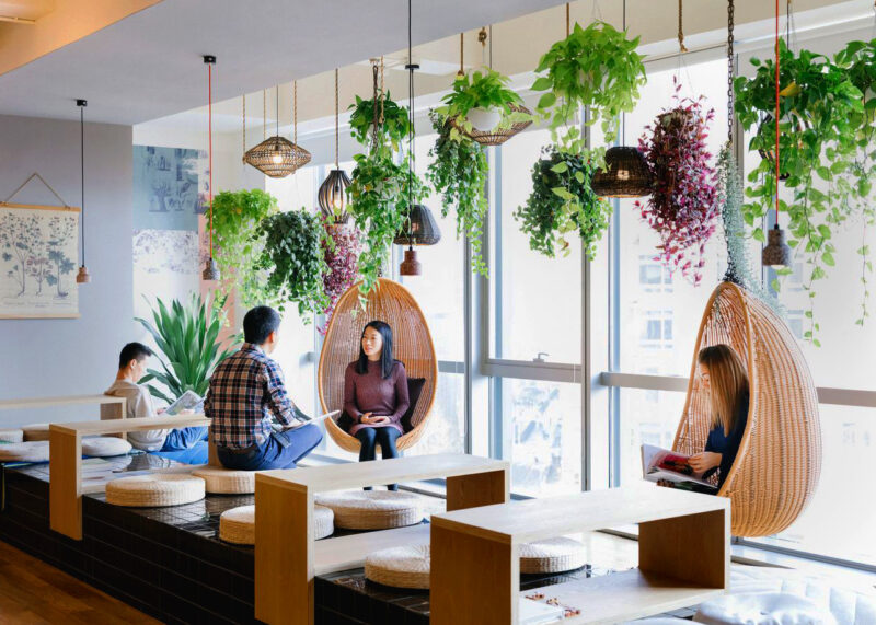 Five Of The Prettiest Green Offices - wework beijing - article on thursd