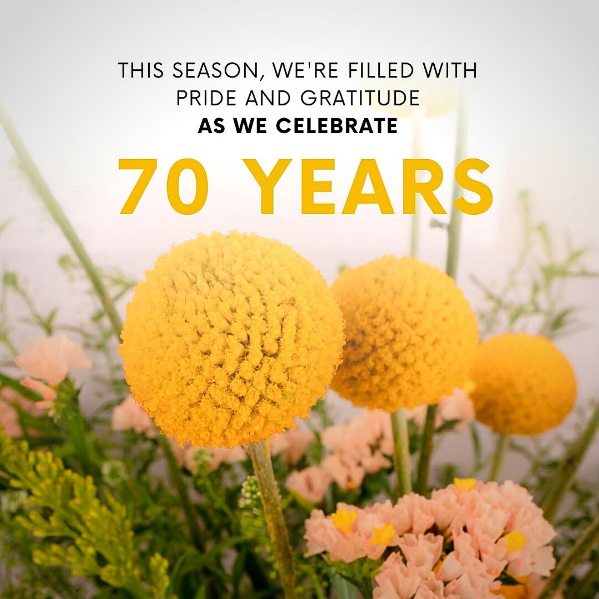 ​Danziger Celebrates 70 Years of Spreading Floral Delight