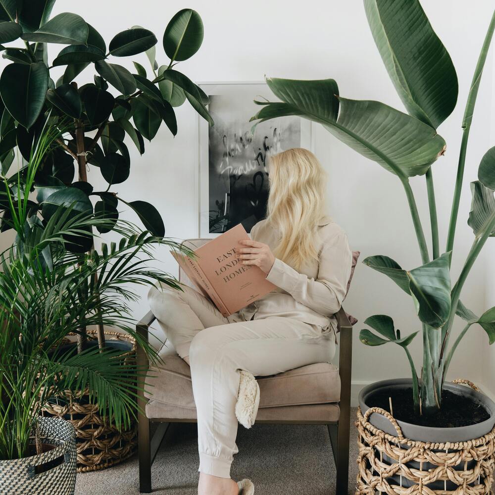 Reading book near indoor plants