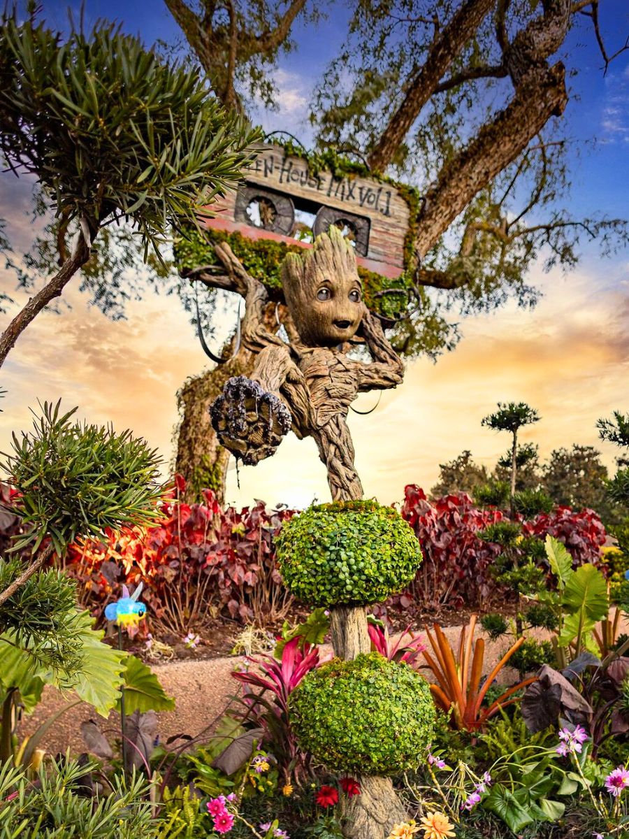 The amazing Groot topiary at Epcot