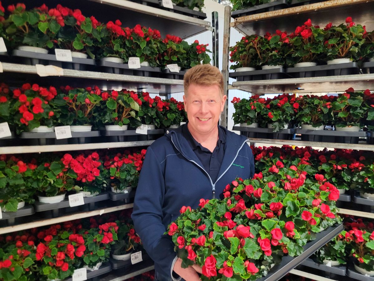 Blomsteringen manager Knut Hodnebrog with tray of Koppe Begonia's Betulia Red