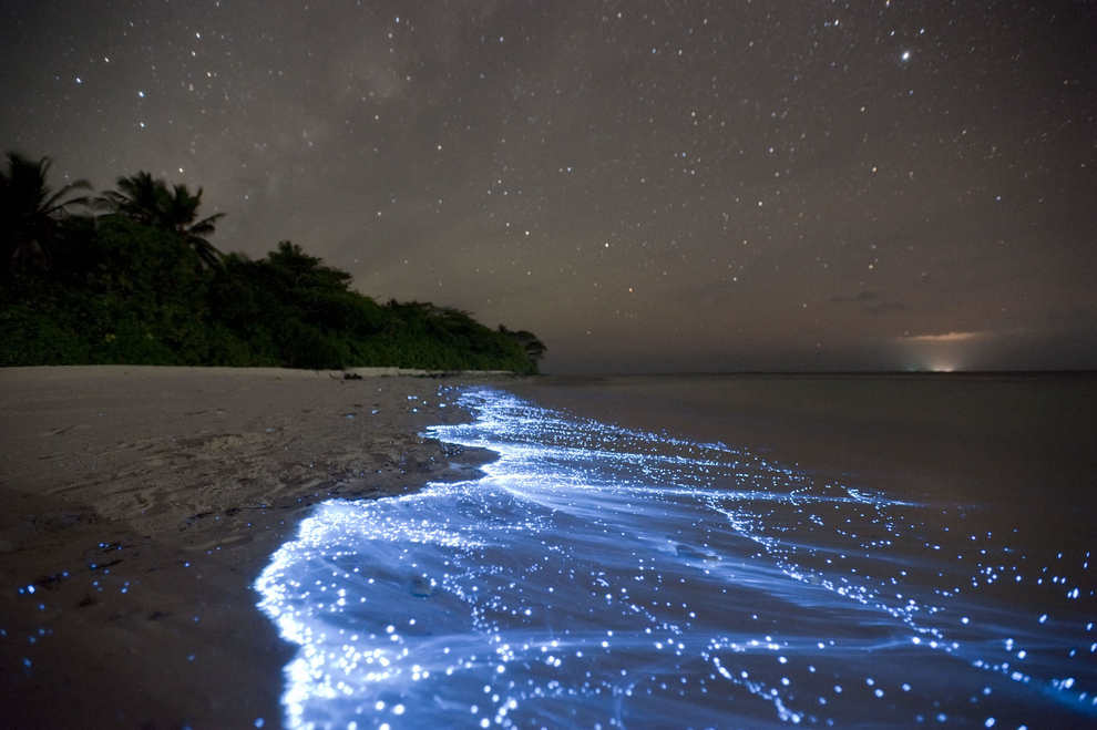 Unbelievable Places in India That Glow in the Dark Bangaram Island In Lakshadweep