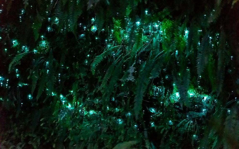 Unbelievable Places in India That Glow in the Dark Ahupe Village in Maharashtra