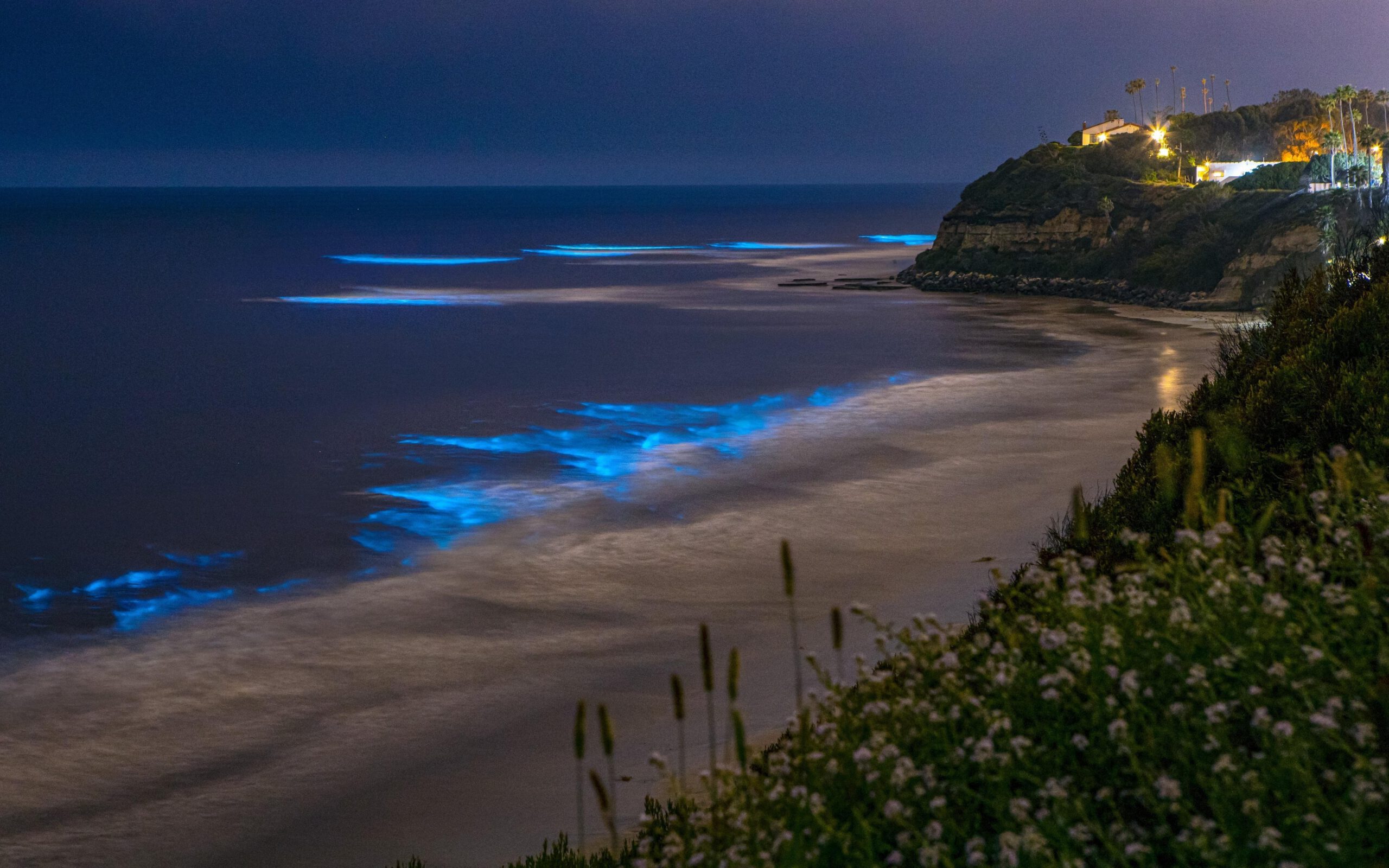 Unbelievable Places in India That Glow in the Dark Betalbatim Beach In Goa