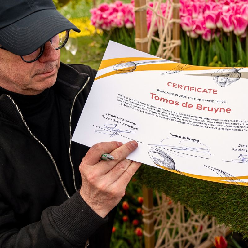 Certificate of the baptism of the Tomas de Bruyne Tulip