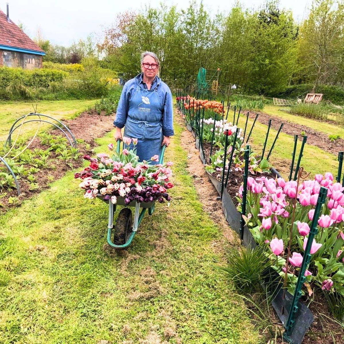 Working at a flower farm