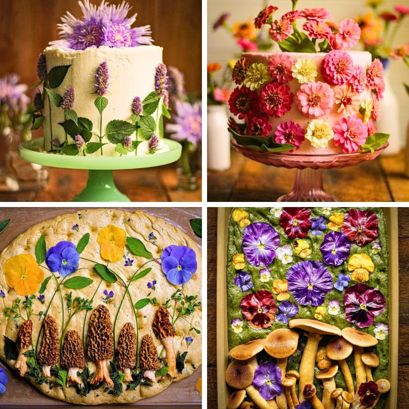 Different recipes using flowers and herbs by Lauren May