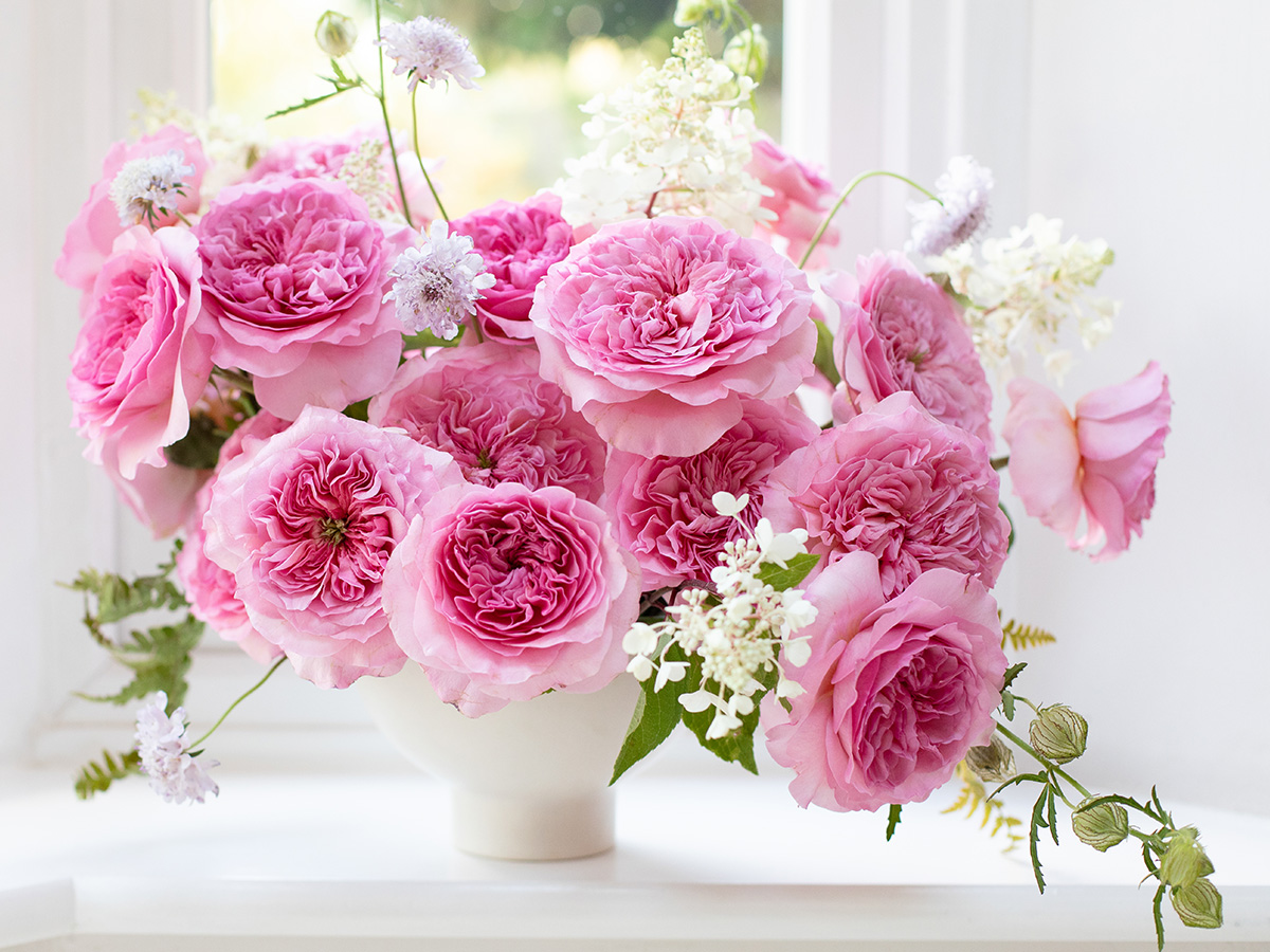 Rose Millicent bouquet in vase
