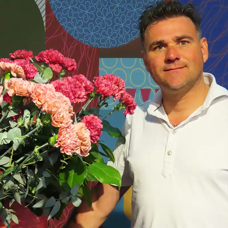 Keukenhof Carnations Show feature on Thursd