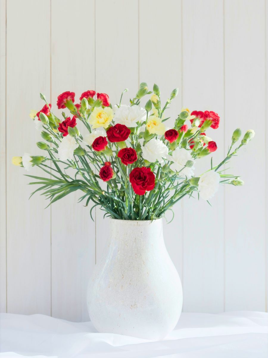 White and red carnation arrangement