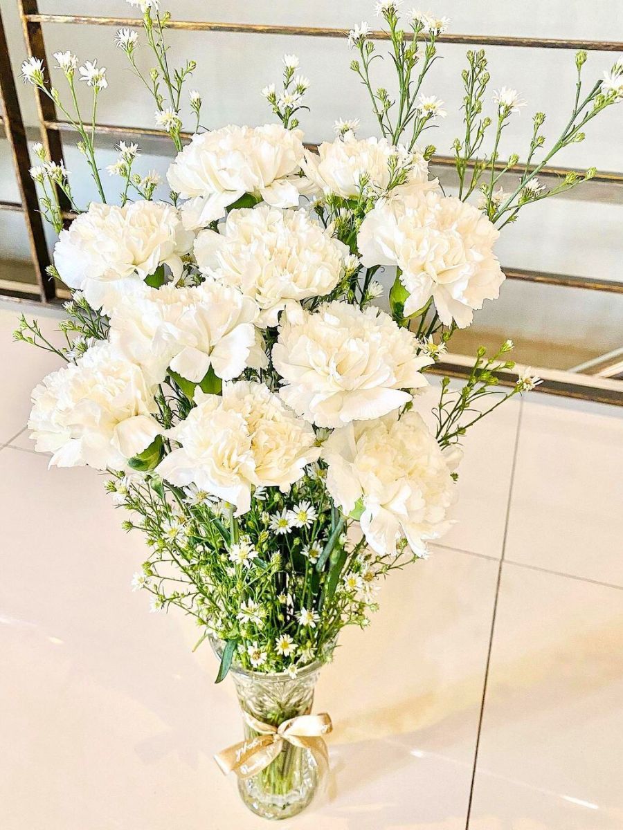 White carnations in a vase