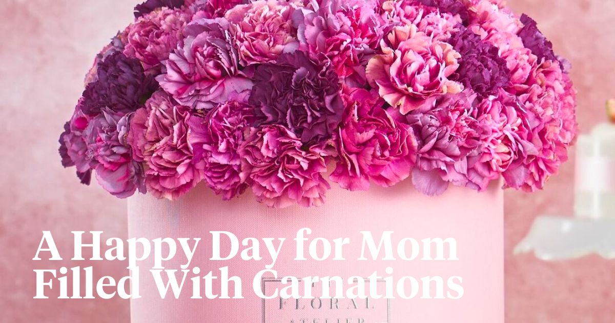 Mother's Day carnations in pinkish colors