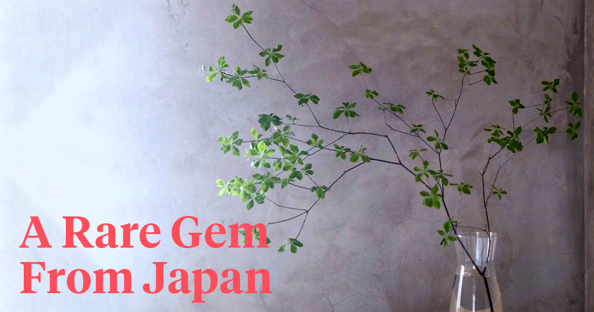 Aucnet Supplies Unique Japanese flora, Including the Exquisite Enkianthus