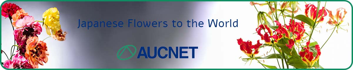 Aucnet banner