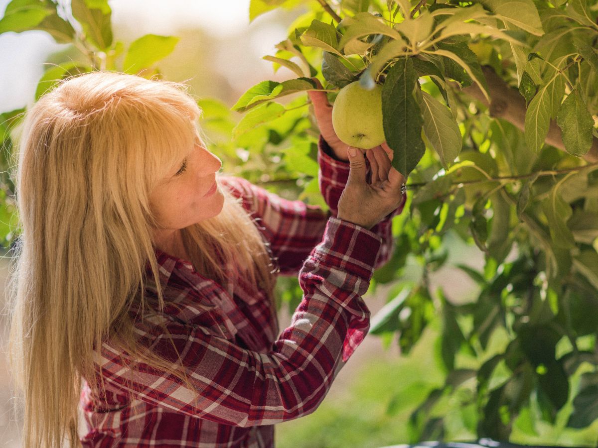 The International Day of Plant Health acknowledges the crucial role plants play in sustaining life.