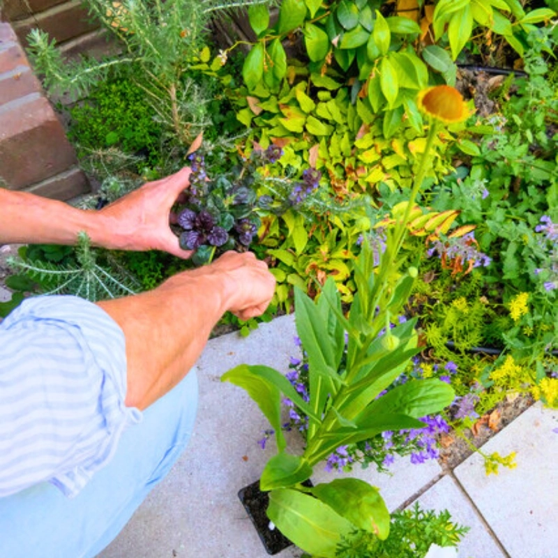 Flip a tile and plant a perennial