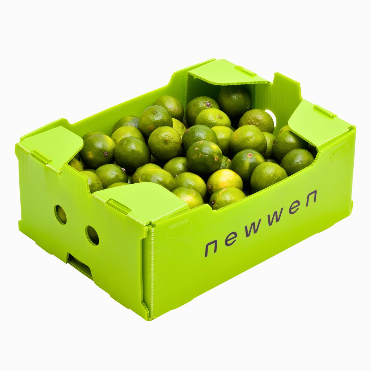 Newwen's sustainable boxes