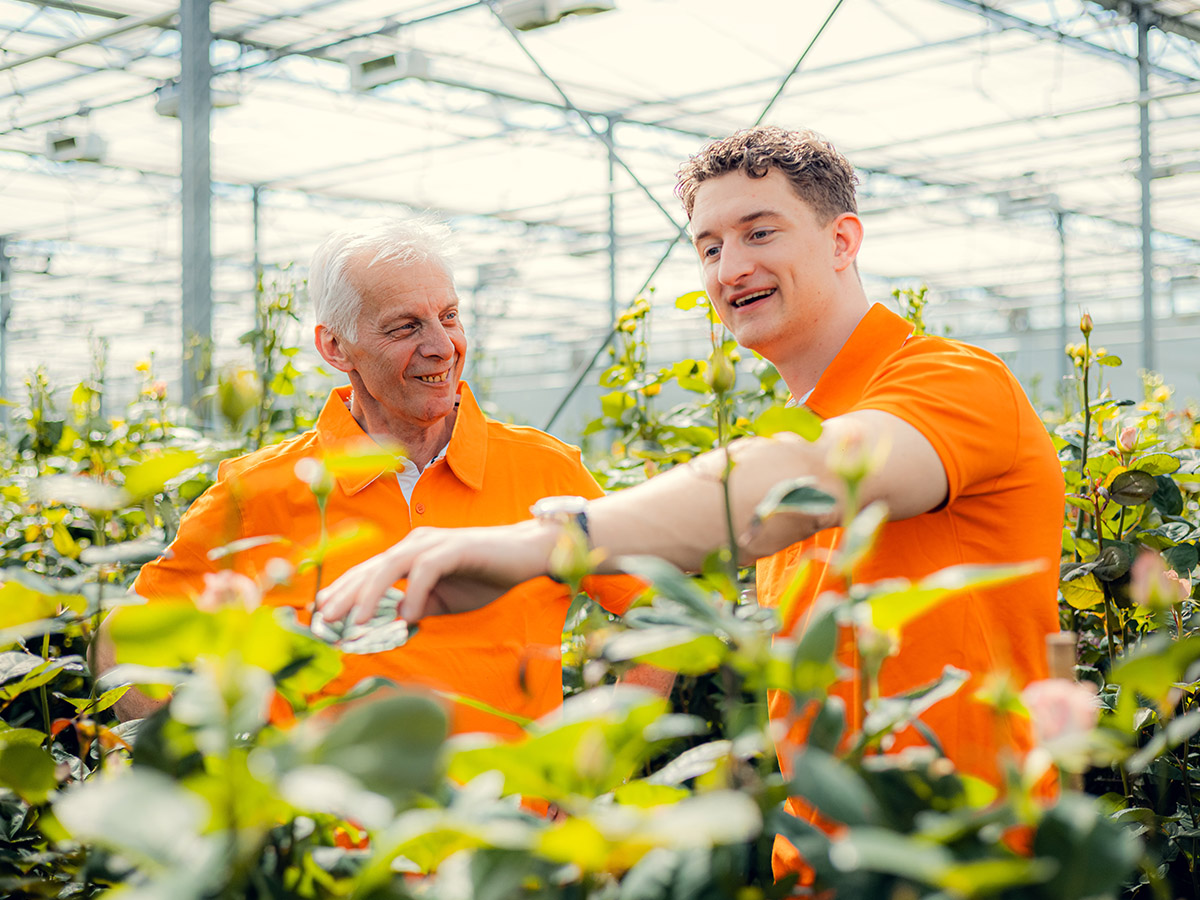 Frank Grunder and Bart Fransen from Ai2 in roses greenhouse