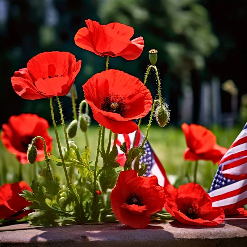 The Role of Flowers in Honoring Fallen Heroes on Memorial Day