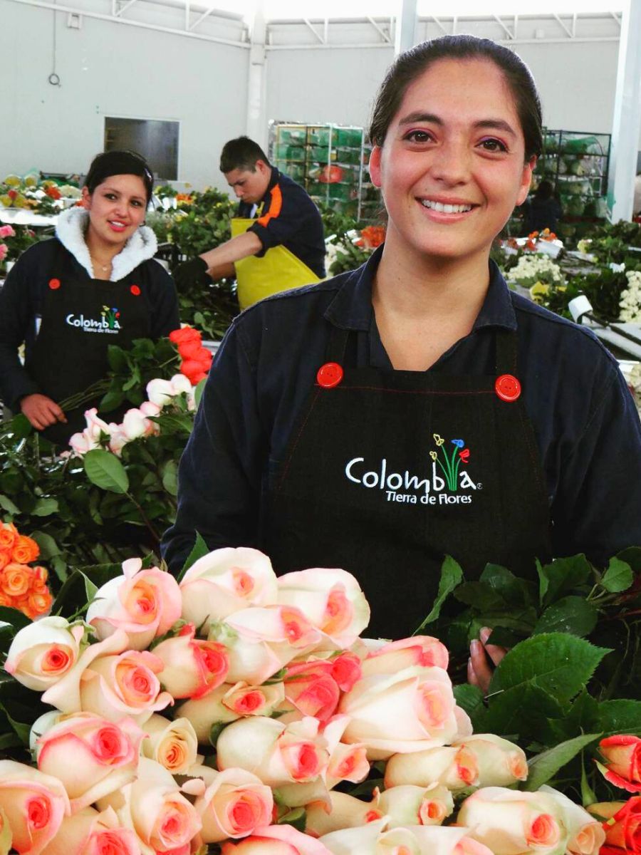 Asocolflores Is Powering Colombia’s Floriculture Success