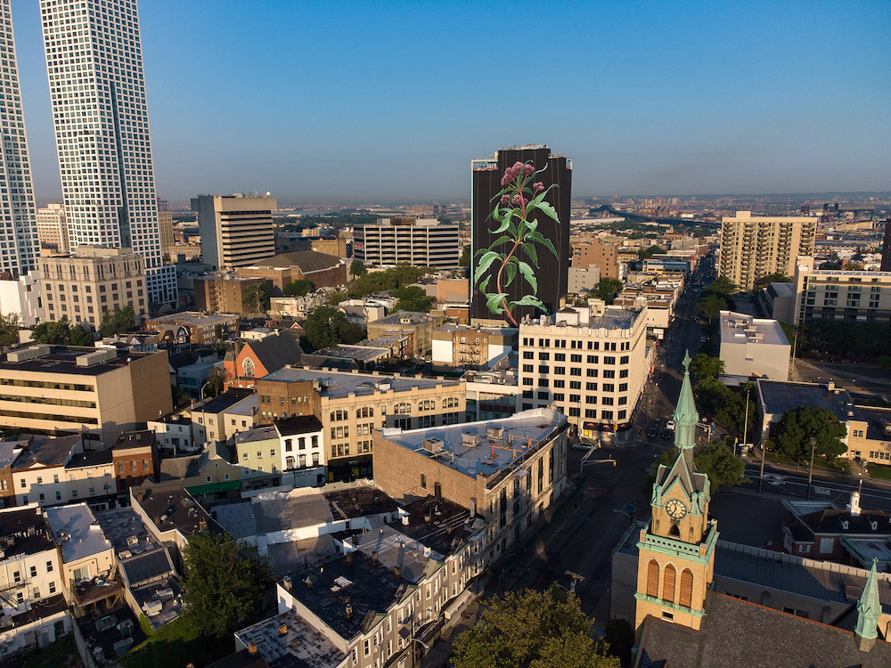 Mona Caron Makes a 20-Story Wildflower Bloom Above Jersey City Visual Art