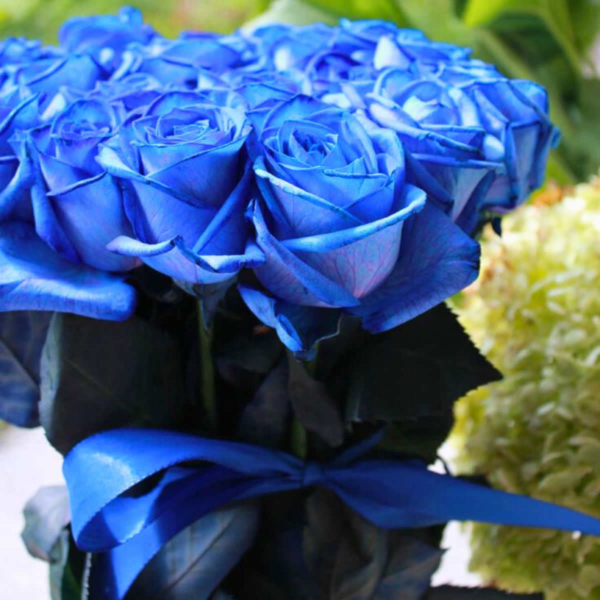 Do Blue Roses Exist?