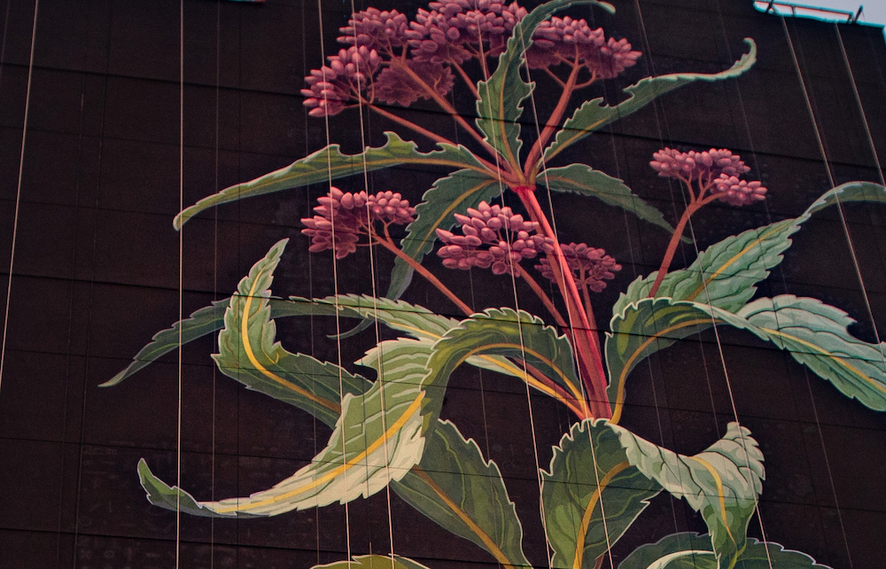 Mona Caron Makes a 20-Story Wildflower Bloom Above Jersey City Visual Art