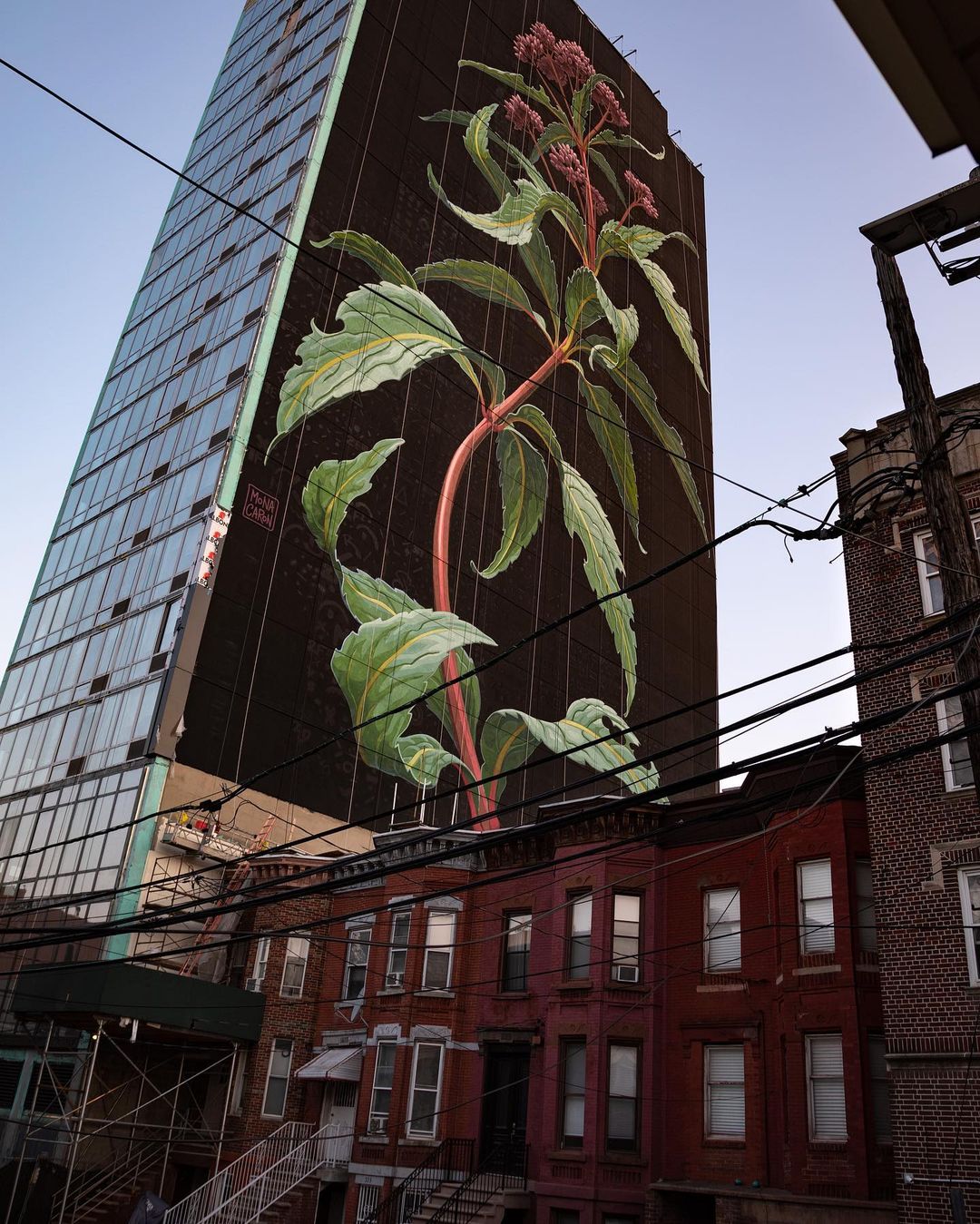 Mona Caron Makes a 20-Story Wildflower Bloom Above Jersey City Joe Pye Weed Mural