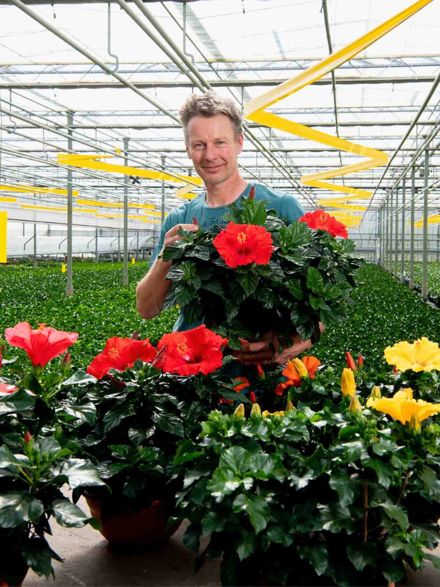 Decorum Fulfills Its Commitment to Providing High-Quality Plants and Flowers