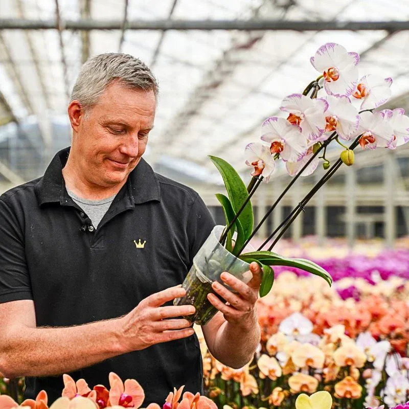 This Is How Decorum Upholds Its Pledge to Supply Premium Plants and Flowers