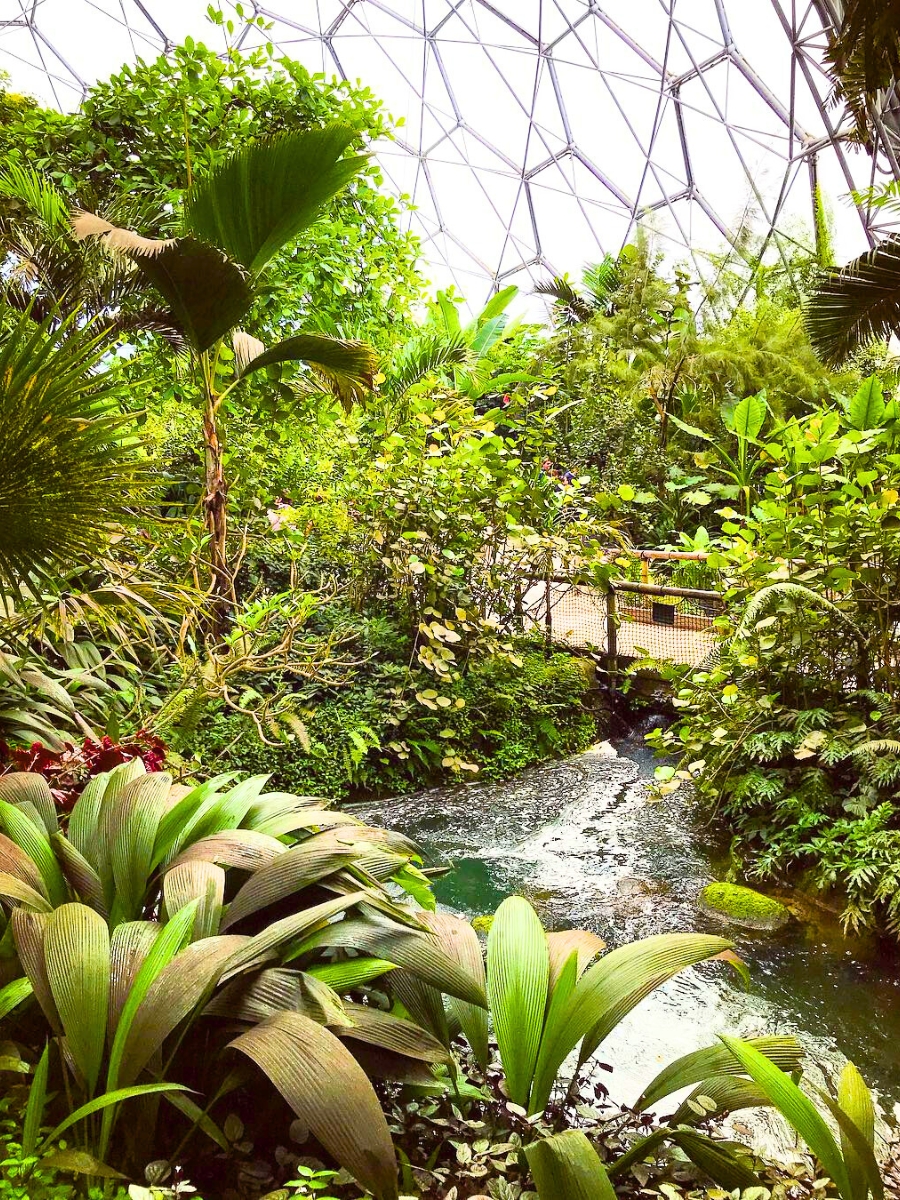 Insides of the Eden Project Botanic Gardens