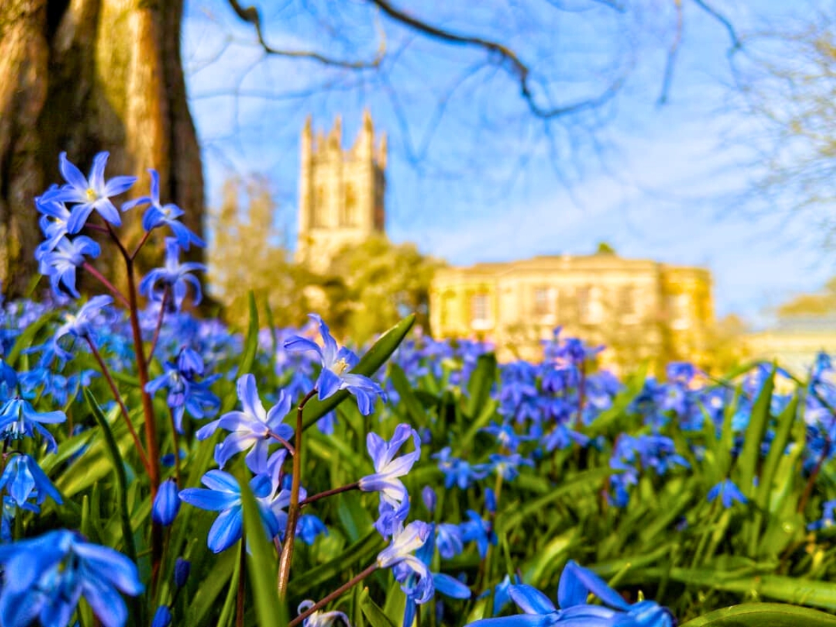 Oxford Botanical Gardens