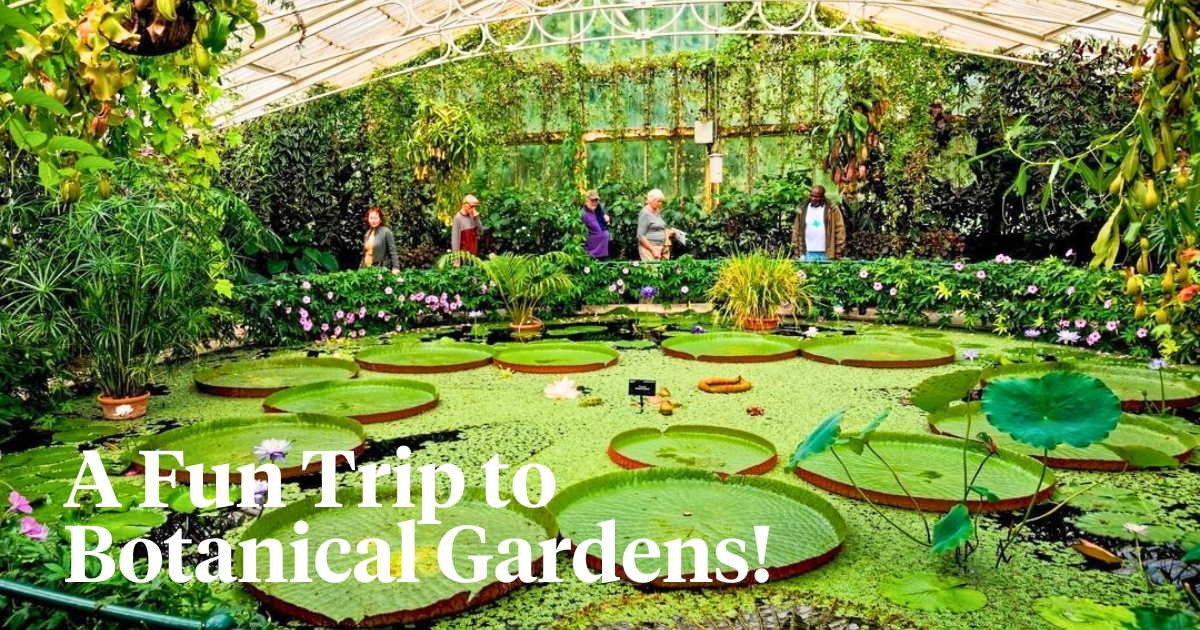Botanical Gardens in the UK