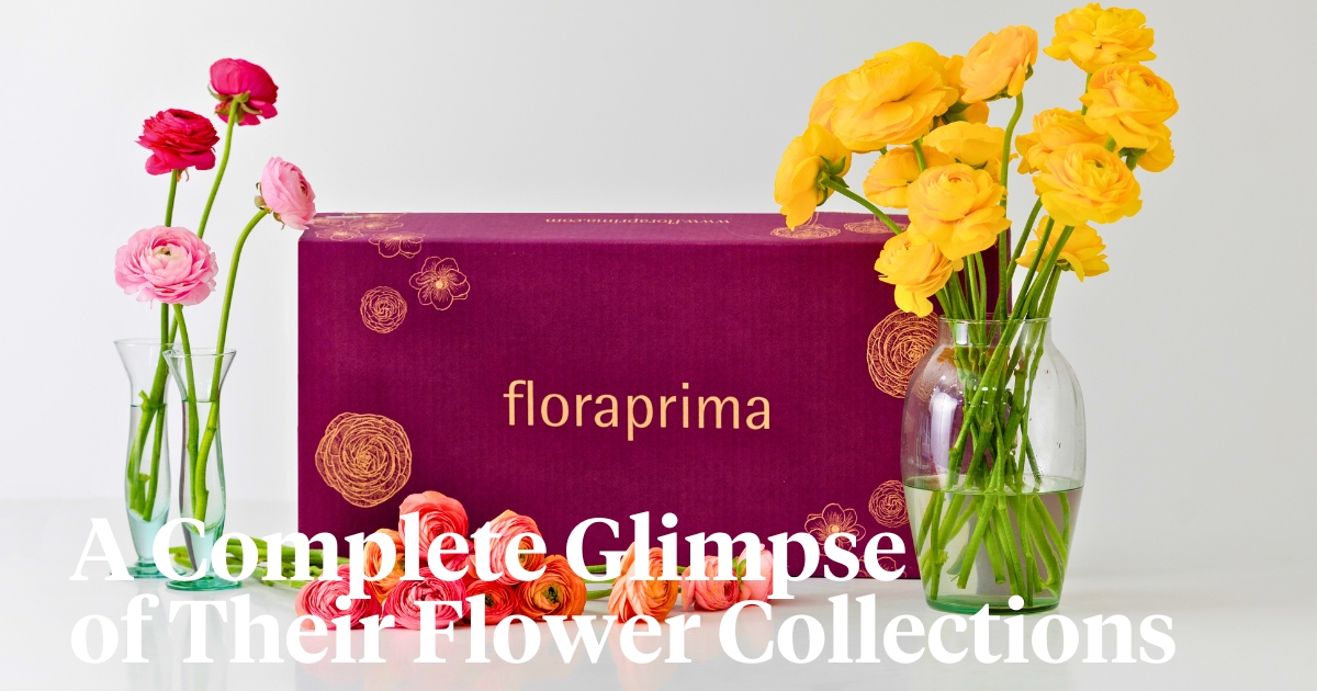 Floraprima's flower catalog
