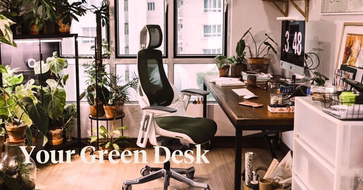 Best Plants for Your Desk