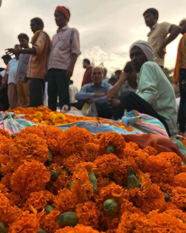 A glimpse from the Lucknow flower market