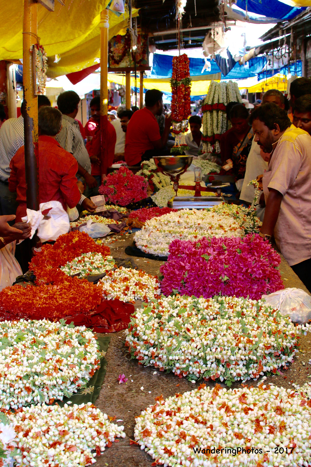 Flower market in Mysore - Devaraja Market