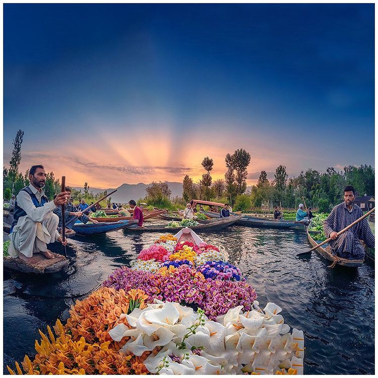flower vendors on shikaras selling flowers and garlands in Dal Lake market Kashmir