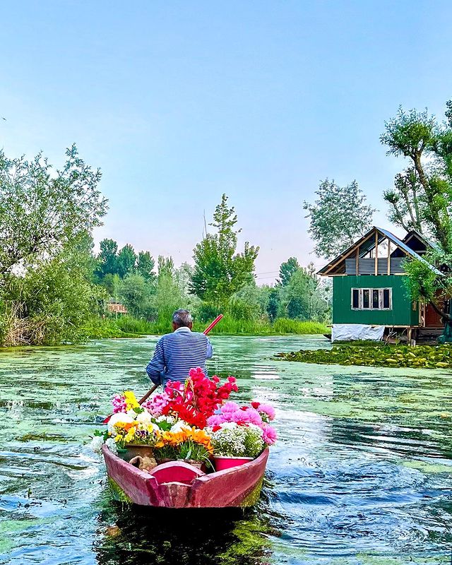 flower vendors sailing through the Dal Lake in Kashmir