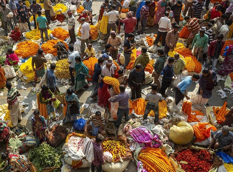 a picture capturing the busy streets of Mallik Ghat flower market Kolkata
