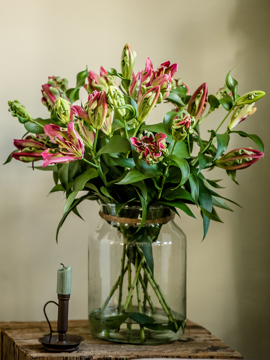 Lily Tropical Dragon in vase by Zabo Plant