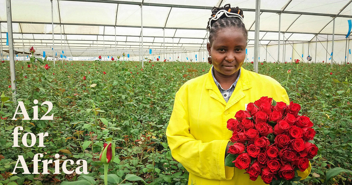 Global Flower Service in Kenya