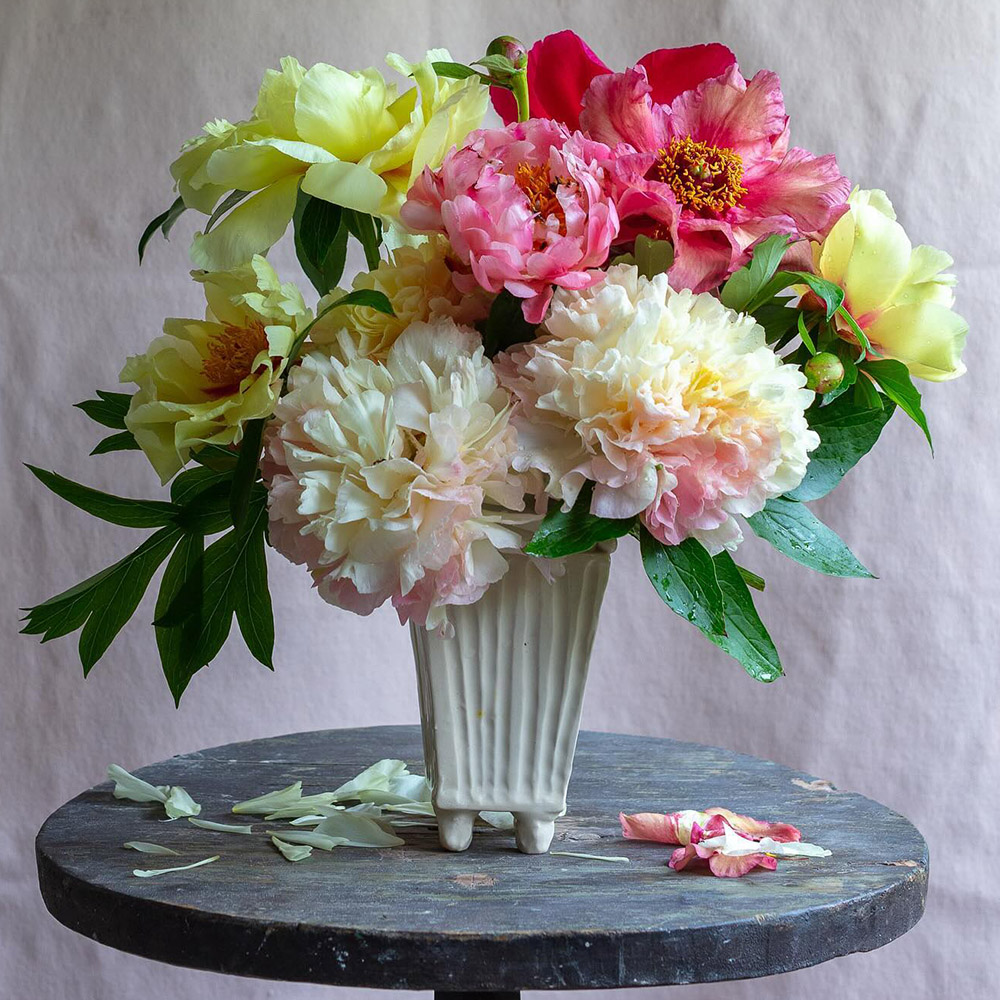 Peony bouquet by Frances Palmer