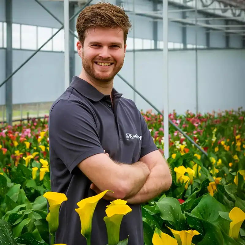 Captain Calla Days - An Opportunity to Fully Get into the Calla Lily World