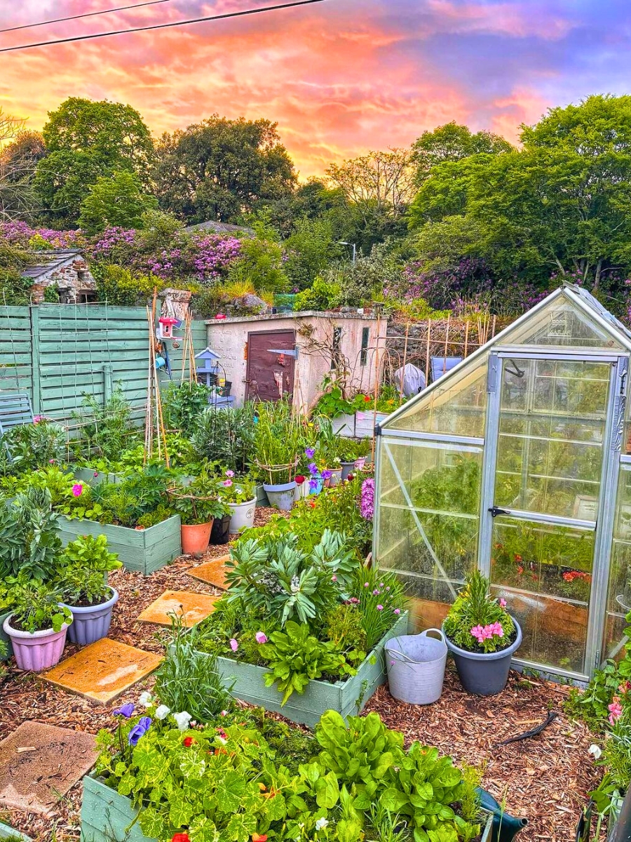An incredible outdoor garden