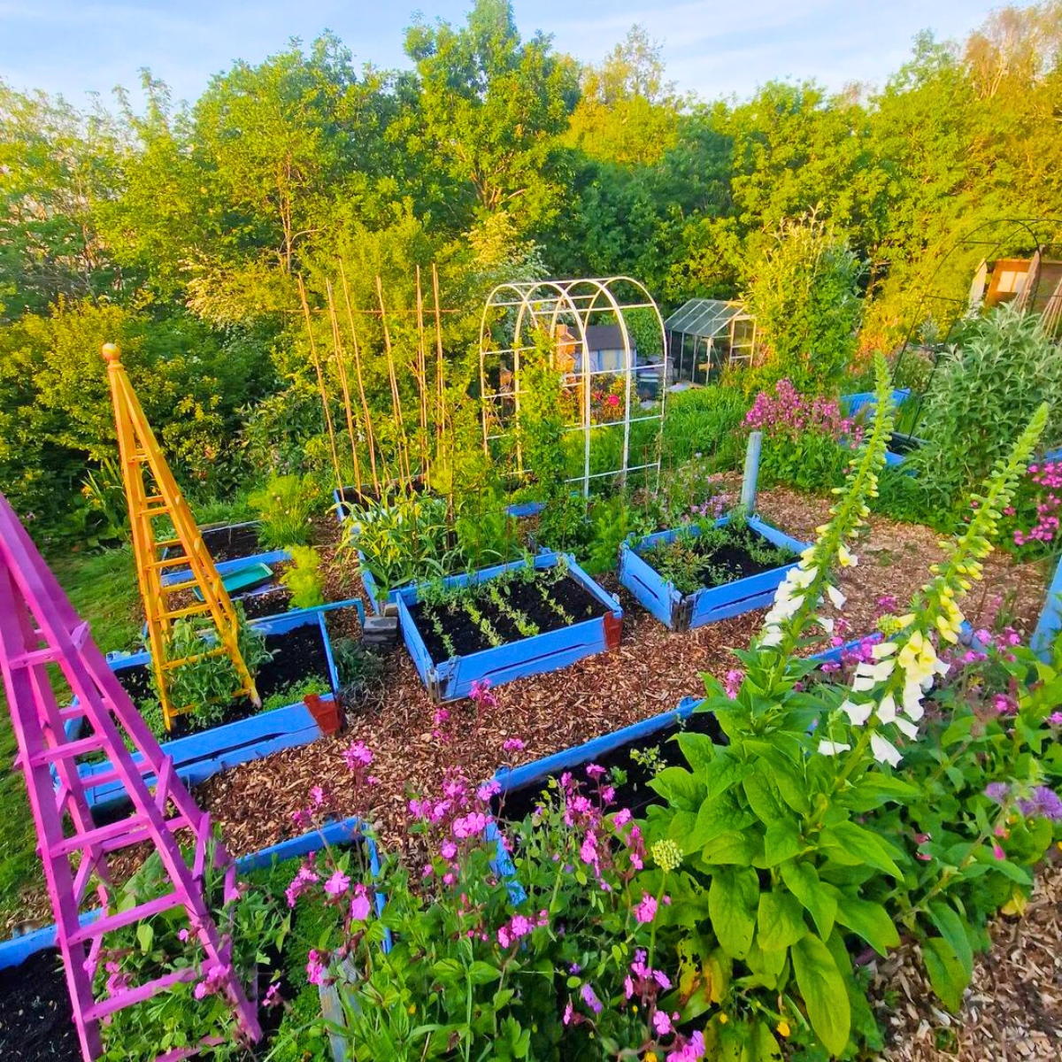 A colorful and green garden