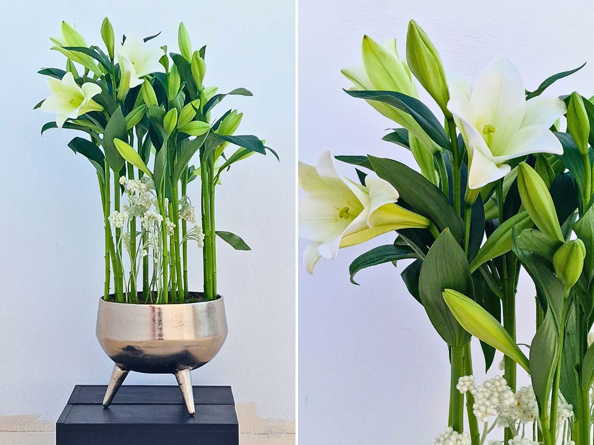 Marios Vallianos’ Uplifting Design Experience With Three Bredefleur Lilies