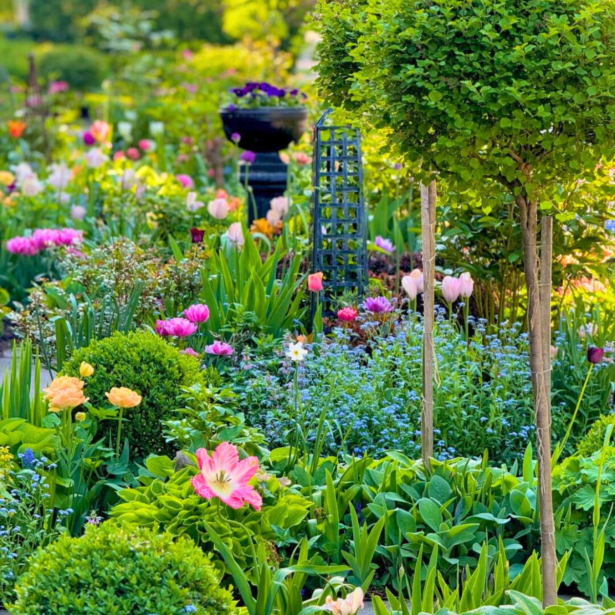 Beautifying gardens with flowers