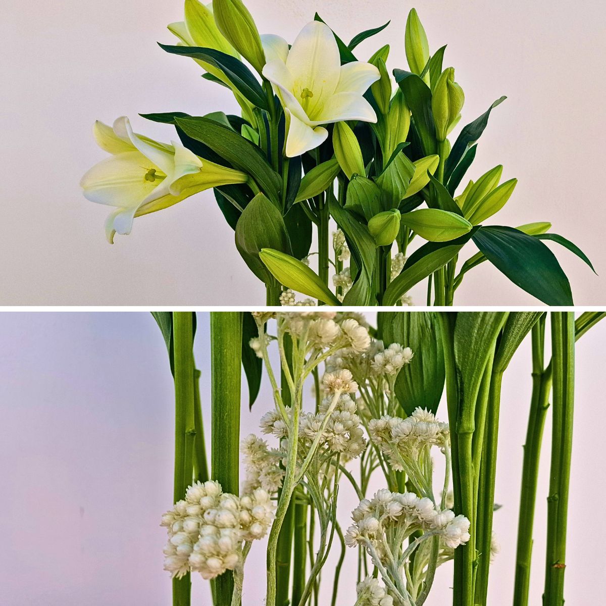 Marios Vallianos’ Uplifting Design Experience With Three Bredefleur Lilies