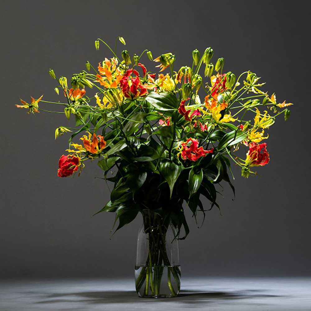 Gloriosa Bouquet by Aucnet